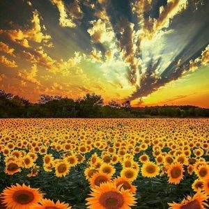 Meet your Posher, Kelsee